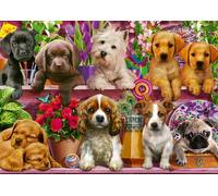 Schmidt Spiele Cani nello scaffale, Puzzle da 500 Pezzi, Multicolore, 58973