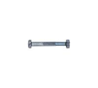 SCHMIDT'S Onlineshop viti da costruzione simili a DIN601 con dadi 4.8 zincati