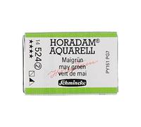 Schmincke - HORADAM® AQUARELL - Lampade per artisti, 524 verde Hookers, 14 524 043, 1/1 godet