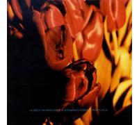 Schnauss,Ulrich - A Strangely Isolated Place