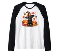 Schnauzer Halloween And Fall Pumpkins for Schnauzer Mom Maglia con Maniche Raglan