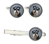 Schnauzer set di mollette in una scatola con immagine Art-Dog