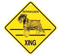 Schnauzer Xing Caution Crossing Dog Gift Sign Targa in metallo per casa, ufficio, bar, decorazione da parete interna ed esterna, 20 x 20 cm, cartello quadrato