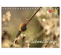 Schneckchen (Tischkalender 2026 DIN A5 quer), CALVENDO Monatskalender: Sie haben immer ihr Häuschen dabei und gehen gemütlich ihrer Wege