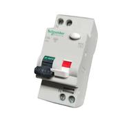 Schneider differenziale magnetotermico 1 n 40a 0,03a c-ac 6k 2 moduli 19291