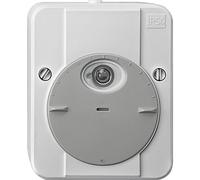 Schneider Electric 544829 Interruttore crepuscolare Grigio luminescente 230 V 1