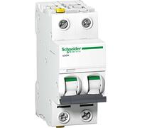 Schneider Electric A9F04225 - Interruttore di circuito iC60N, 2P, 25A, C caratteristiche, Multicolor