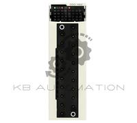 Schneider Electric BMXDDO1602 Modicon X80 Modulo di uscita discreta, 16 canali