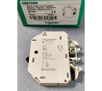 SCHNEIDER ELECTRIC GB2CD09 Interruttore automatico magnetotermico (021491)