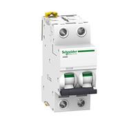 Schneider Electric Interruttore magnetotermico IC60N A9F79210 2 poli 10 A curva C 6 kA 2 moduli