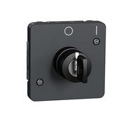 Schneider Electric Interruptor di Tasto 2 Posizioni IP55 Grigio