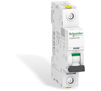 Schneider Electric Interruttore di protezione ACTI9 IC60N 1P 6A B, A9F03106