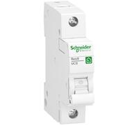 Schneider Electric Interruttore RESI9 1P 32A B 6KA R9F23132