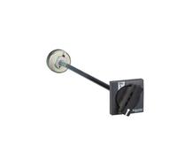 Schneider Electric LV431050, Manopola rotante per Comando anteriore