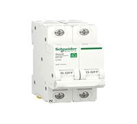 Schneider Electric RESI9 1P+N 40A C 230V 6000A marca multicolore