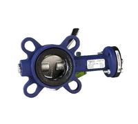 Schneider Electric Valvola a farfalla a 2 vie flangia in acciaio inox disco DN200