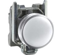 Schneider Electric XB4BVB1 Indicatore ottico Bianco 24 V/DC, 24 V/AC 1 pz.
