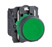XB5AA31 - Pulsante, 1 contatto NO, a impulso