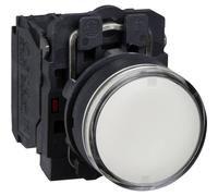 Schneider Electric XB5AW31B5 XB5AW31B5 Pulsante illuminato 600 V 6 A Momentaneo