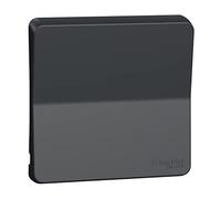 SCHNEIDER - Enjoliveur avec symbôle sonnette - IP55 - IK08 - gris Mureva Styl - MUR34201