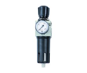 Schneider Riduttore di pressione del filtro FDM 1/2 W Quantità:1