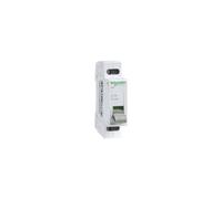 Sezionatore Schneider 2P 20A 1 modulo A9S60220