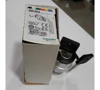 Testa Selettore A Chiave 2 Posizioni ( SCHNEIDER cod. ZB4BG4 )