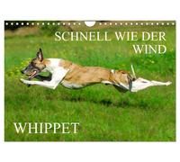 Schnell wie der Wind - Whippet (Wandkalender 2027 DIN A4 quer), CALVENDO Monatsk