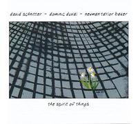 Schnitter, David - Spirit Of Things