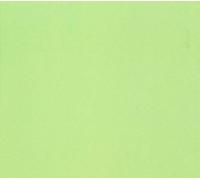 Schnitzler, Conrad - Grun