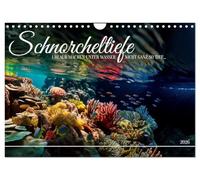 Schnorcheltiefe (Wandkalender 2026 DIN A4 quer), CALVENDO Monatskalender: In der Berührungszone von Land und Meer