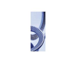 SCHNORR 881200040050000 - Rondella di sicurezza S M 5, in acciaio armonico non trattato, colore: Argento
