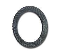 SCHNORR 881200040080000 - Rondella di sicurezza S M 8, in acciaio armonico non trattato, colore: Argento