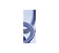 SCHNORR 881200040240000 - Rondella di sicurezza S M24, in acciaio armonico, colore: Argento