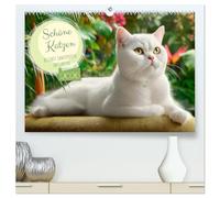 Schöne Katzen. Beliebte Samtpfoten im Garten (hochwertiger Premium Wandkalender 2026 DIN A2 quer), Kunstdruck in Hochglanz: Dieser Katzenkalender ... - entspannt, verspielt und voller Charme.