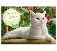 Schöne Katzen. Beliebte Samtpfoten im Garten (Tischkalender 2026 DIN A5 quer), CALVENDO Monatskalender: Dieser Katzenkalender zeigt verschiedene ... - entspannt, verspielt und voller Charme.