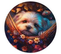 Schöne Malteser-Puzzles für Erwachsene,1000 Teile,schwierige Puzzles für Erwachsene,Geschenk zum Selbermachen,Spaß,geeignet für die Dekoration von Zuhause,Wohnzimmer,Büro,1000 Stück (67,5x67,5cm)