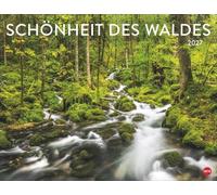 Schönheit des Waldes Posterkalender 2027: Eine mystische Reise durch die Welt der Bäume: Landschafts-Kalender im Großformat 44 x 34 cm, der Ruhe und Gelassenheit ausstrahlt