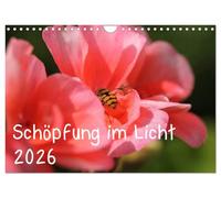 Schöpfung im Licht (Wandkalender 2026 DIN A4 quer), CALVENDO Monatskalender: Gottes Schöpfung mit Bibelsprüchen