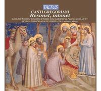 Schola Gregoriana Di - Canti Gregoriani: Resonet Intonet