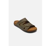 Scholl - Aberdeen 2 Straps Man Comfort Verde - Sandali e scarpe aperte 42 Verde