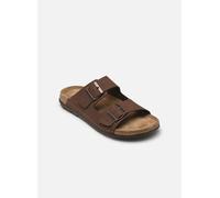 Scholl - Aberdeen Man Comfort Marrone - Sandali e scarpe aperte 40 Marrone