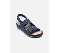 Scholl - ABERDEEN SANDAL COMFORT Blu - Sandali e scarpe aperte 37 Blu