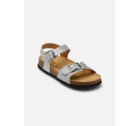 Scholl - ADALENE COLLECTION Argento - Sandali e scarpe aperte 29 Argento