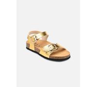 Scholl Adalene, Sandali, Oro, 25 EU