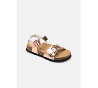 Scholl - ADALENE COLLECTION Rosa - Sandali e scarpe aperte 24 Rosa