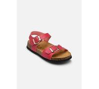 Scholl - ADALENE COLLECTION Rosa - Sandali e scarpe aperte 29 Rosa