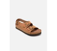 Scholl - AIR BAG BACK STRAP Marrone - Sandali e scarpe aperte 42 Marrone