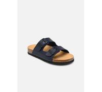 Scholl - ALEX COLLECTION Blu - Sandali e scarpe aperte 32 Blu