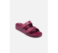 Scholl - BAHIA COMFORT Bordeaux - Zoccoli 37 Bordeaux